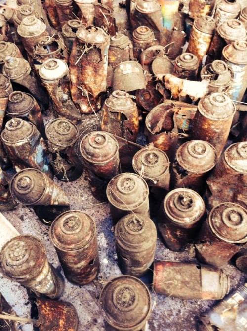 1796658_10203516525096787_1253717944_n