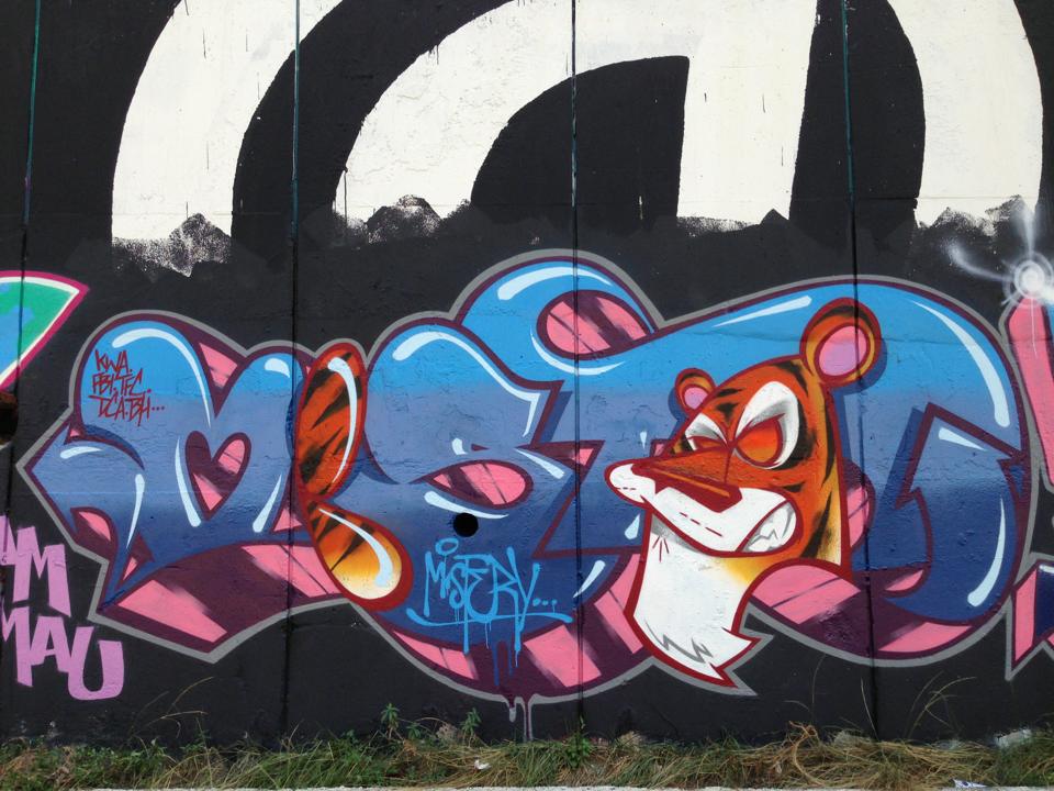 10400870_10204103400686885_3859163597200742184_n