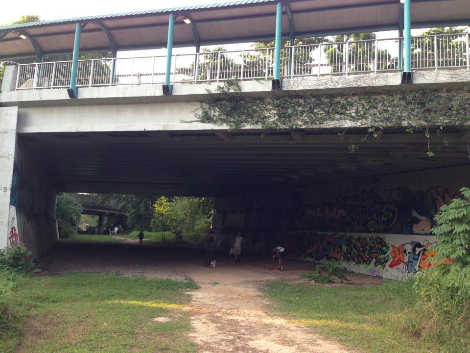 10563058_10204135894819218_8010738766518311675_n