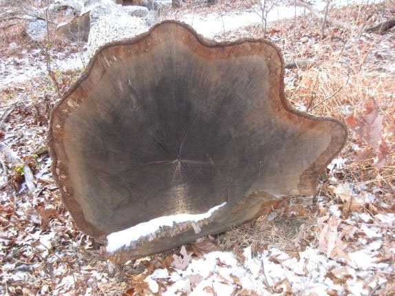 Idle - Sebastian Franz