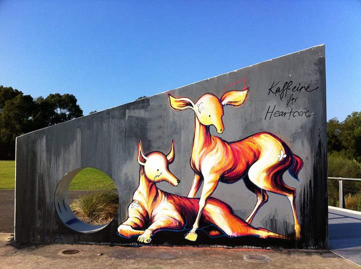 10295476_290574307817847_2318362934898516341_o