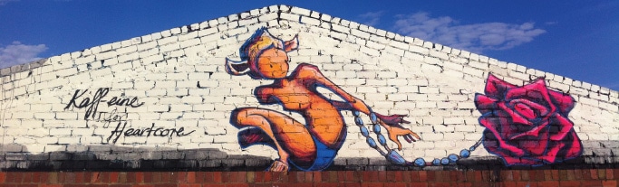 Heartcore_banner_orderform